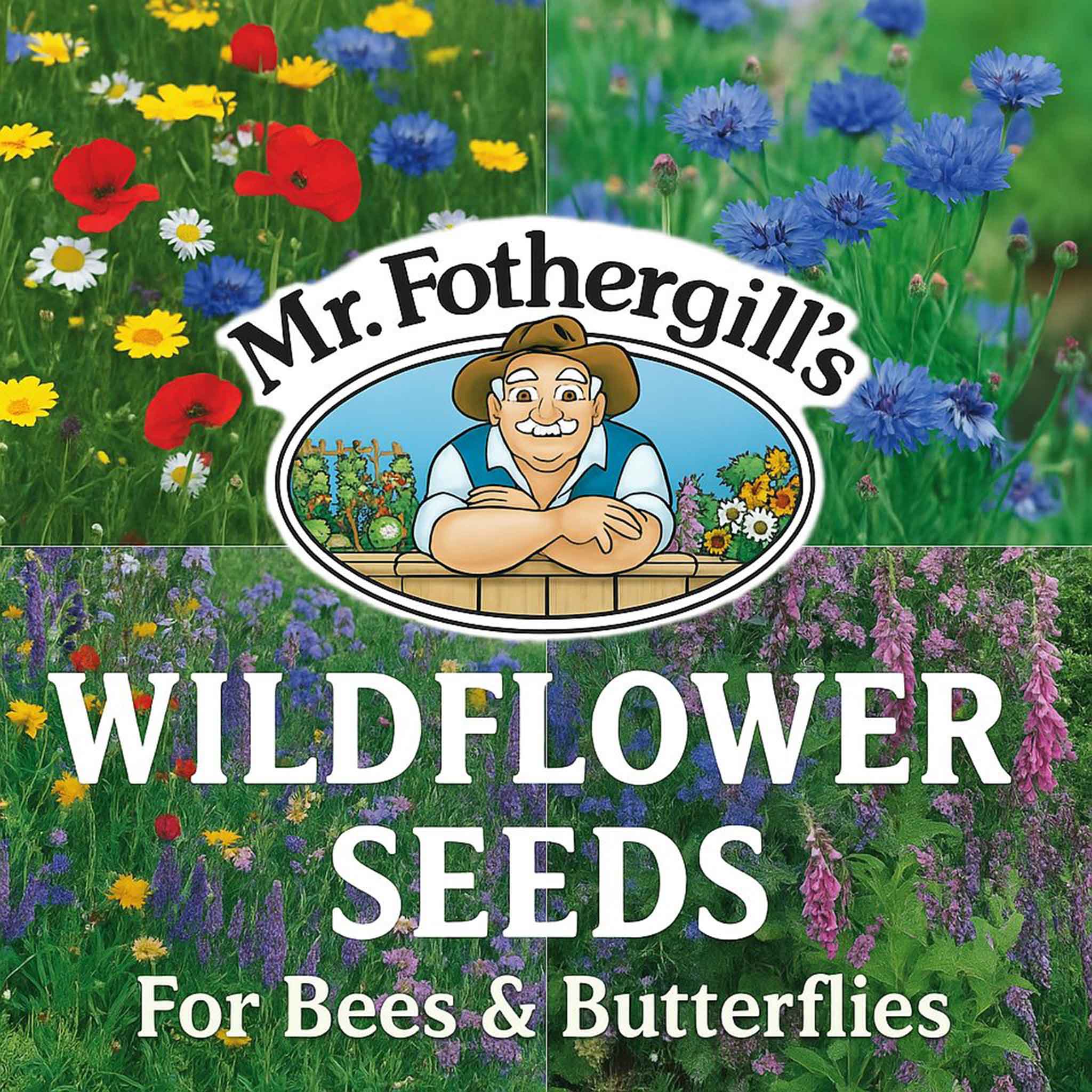 Flower and vegetable seeds from Mr Fothergill's